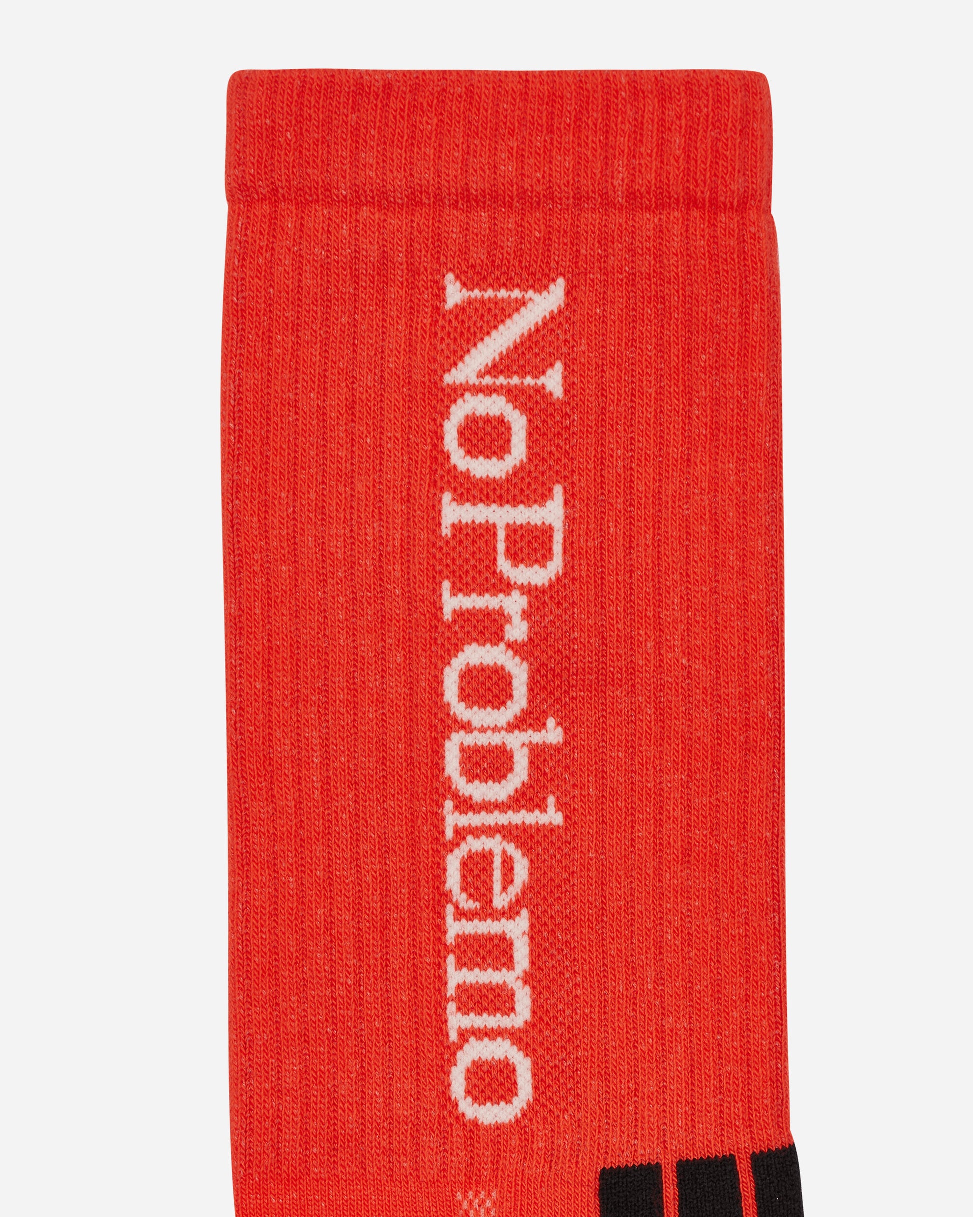 No Problemo No Problemo Sock Orange Underwear Socks NPAR00001 ORANGE